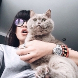 Фото девушки на аву с котом