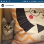 Instagram предложил пользователям делиться новыми фото