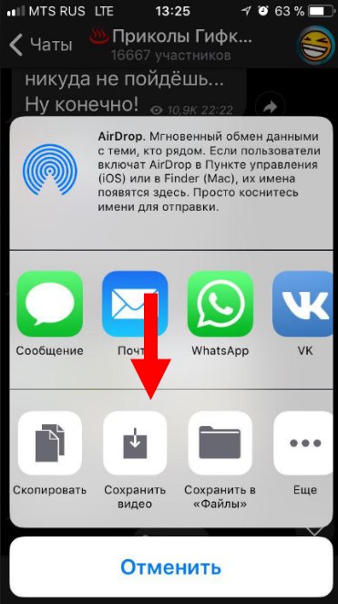 Видео Телеграмм: виды, способы скачивания и загрузки — SMM-blogs.ru — всё о  digital