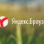 «Яндекс.Браузер» вышел на второе место по популярности в России