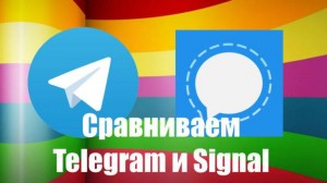 Что предпочтительнее использовать – Signal или Telegram?