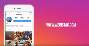 ​Weinstag.com для скачивания любого контента с Instagram